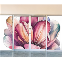 Window Film